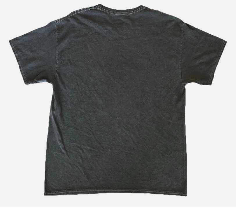 DAVID BOWIE Rebel Licensed Men’s Charcoal T-Shirt Size Small