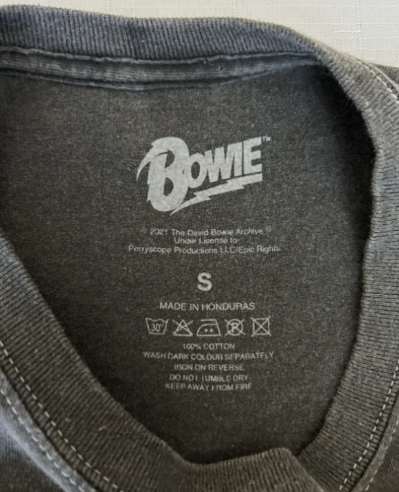 DAVID BOWIE Rebel Licensed Men’s Charcoal T-Shirt Size Small