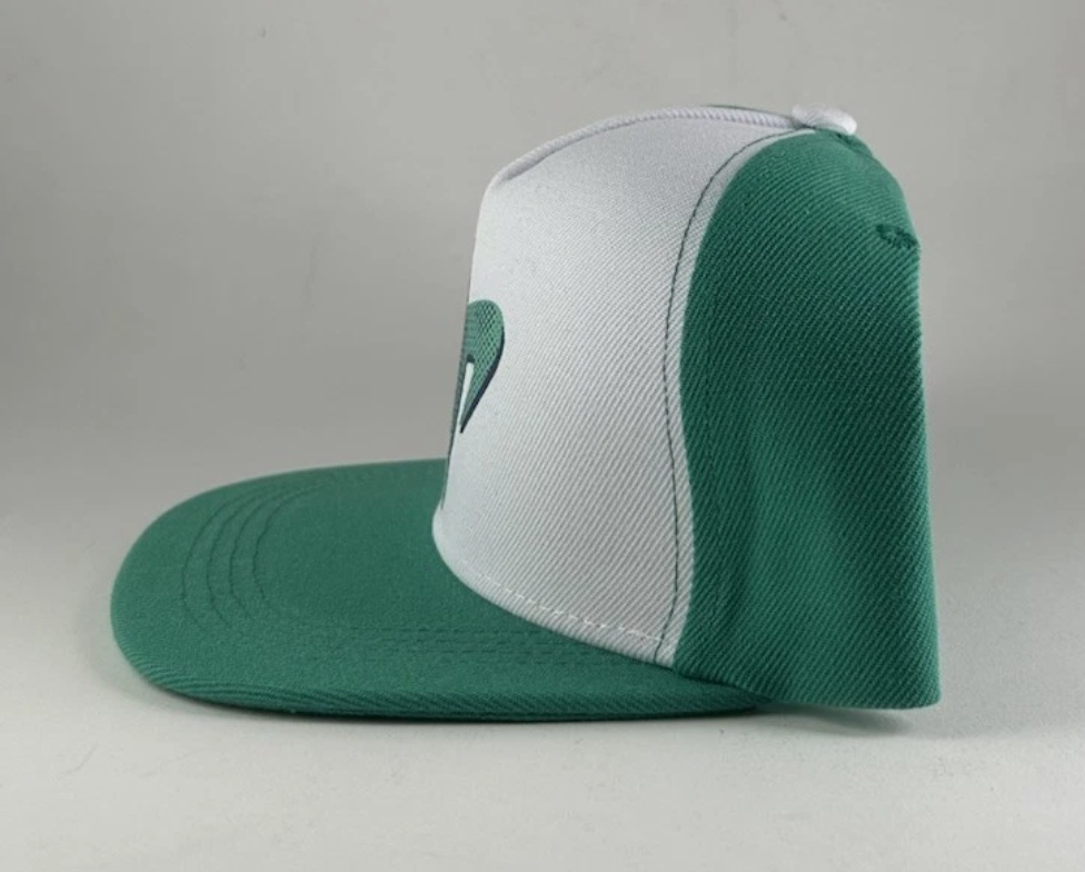 Dude Perfect DP Promo Snapback Hat Cap Sports Logo Green White OSFA Adjustable